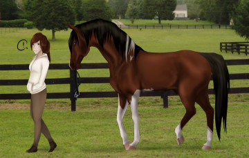 Картинка рисованное животные +лошади ипподром взгляд девушка забор лошадь фон