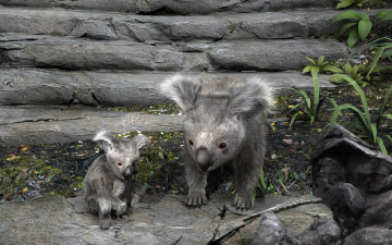 обоя 3д графика, животные , animals, коалы