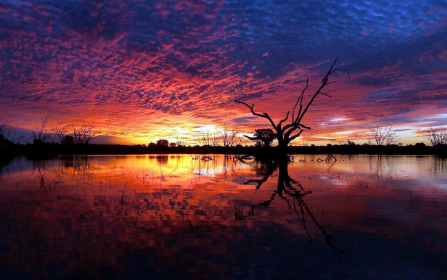 Обои картинки фото природа, восходы, закаты, отражение, небо, закат, вечер, облака, озеро, деревья, вода