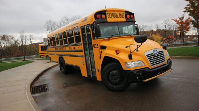 Обои картинки фото автомобили, автобусы, школьный, автобус