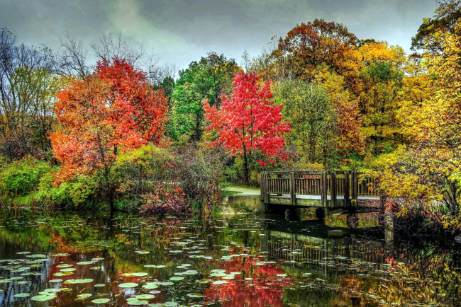 Обои картинки фото природа, парк, мостик, осень, пруд