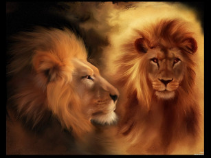 обоя лев, рисованные, животные, львы