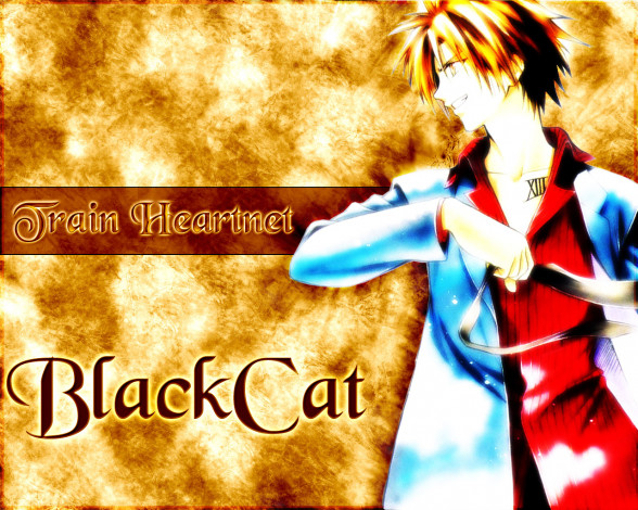 Обои картинки фото аниме, black, cat