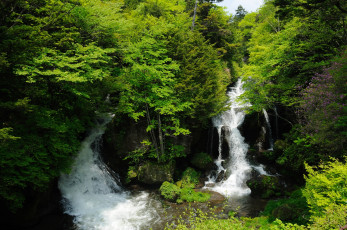 Картинка природа водопады вода лес