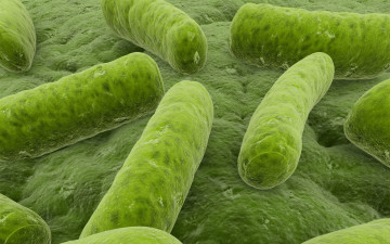 Картинка 3д графика другое зеленые микробы
