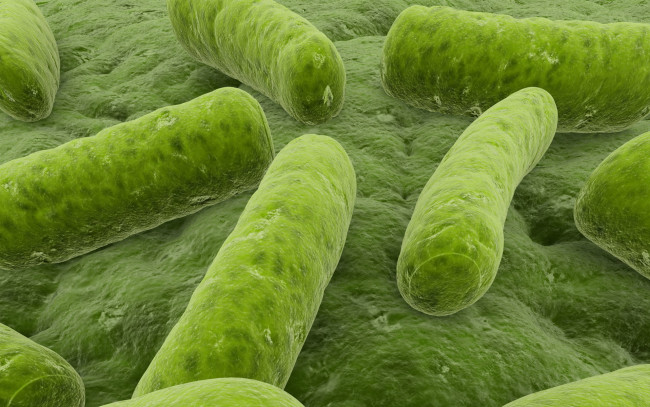 Обои картинки фото 3д, графика, другое, зеленые, микробы