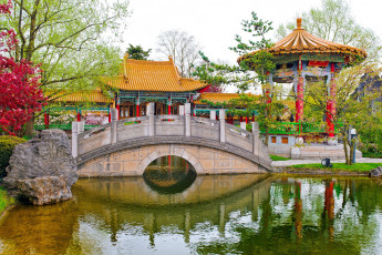 Картинка природа парк chinese garden switzerland швейцария пруд мост беседка