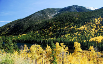 Картинка природа горы осень леса река