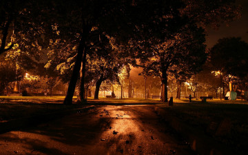 Картинка природа парк аллеи деревья вечер