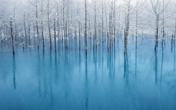 Картинка природа зима деревья иней вода отражение