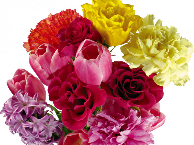 Обои картинки фото цветы, разные, вместе, букет, тюльпаны, пионы, розы