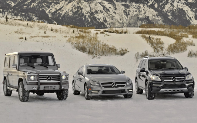 Обои картинки фото автомобили, mercedes, benz, мерседес, модельный, ряд, горы, снег