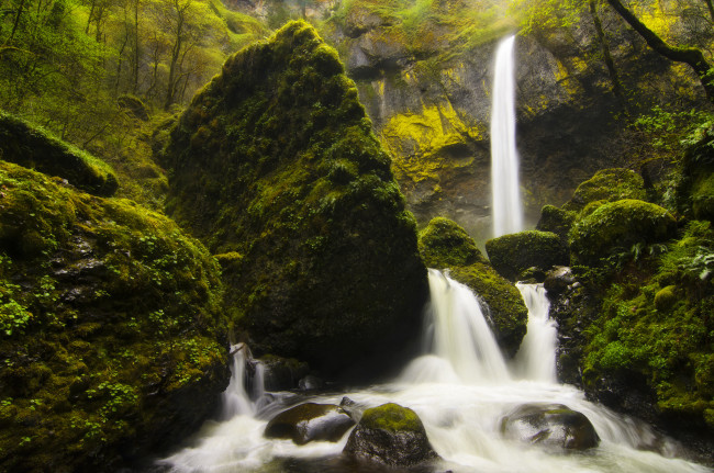Обои картинки фото elowah, falls, природа, водопады, поток, мох, камни, скала