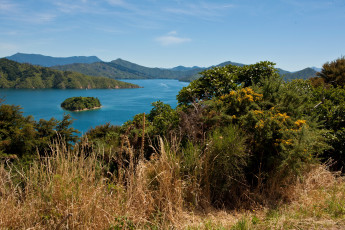 Картинка южный остров новая зеландия природа реки озера озеро лес