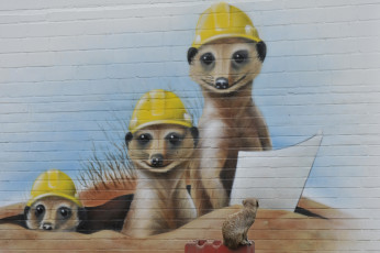 Картинка животные сурикаты граффити стена