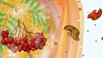 обоя векторная графика, природа , nature, ягоды, листья, осень