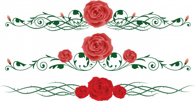 Обои картинки фото векторная графика, цветы , flowers, розы, орнамент, плети, бутоны