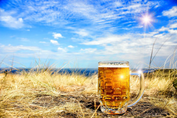 обоя еда, напитки,  пиво, трава, пиво, бокал, небо