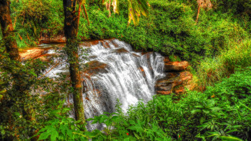 Картинка природа водопады лес скала поток