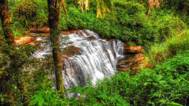 Обои картинки фото природа, водопады, лес, скала, поток