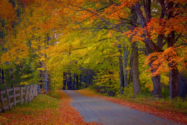 Обои картинки фото природа, дороги, осень, лес, забор, дорога, деревья