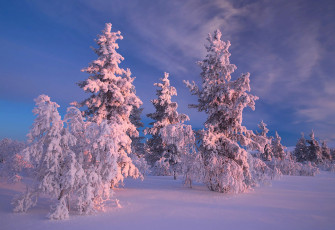 Картинка природа зима простор