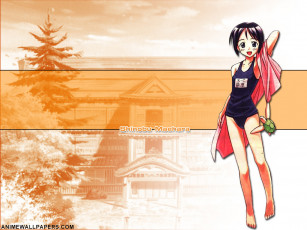 Картинка аниме love hina