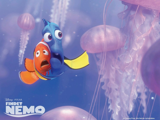 Обои картинки фото мультфильмы, finding, nemo