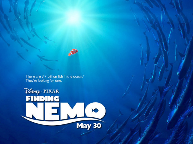 Обои картинки фото мультфильмы, finding, nemo