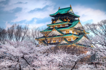 Картинка города замки Японии небо храм япония город весна сакура