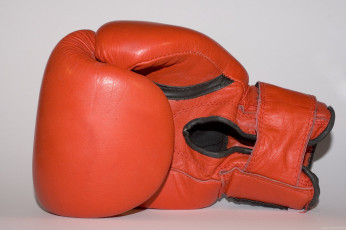 обоя спорт, бокс, перчатка