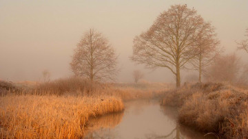 Картинка природа реки озера осень река трава деревья туман