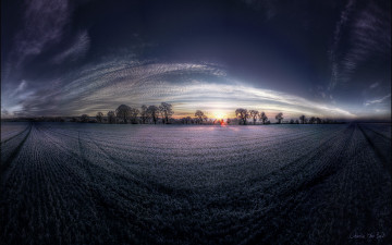 Картинка природа восходы закаты поле закат деревья облака
