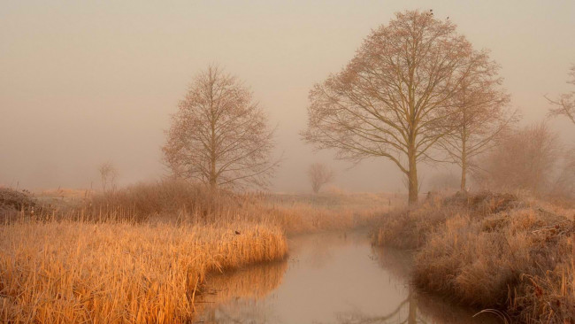 Обои картинки фото природа, реки, озера, осень, река, трава, деревья, туман