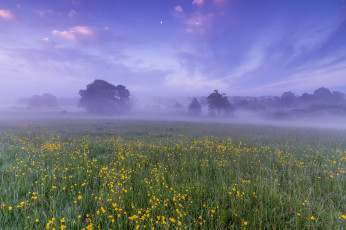 Картинка природа луга рассвет утро туман дымка деревья англия великобритания луна небо облака цветы