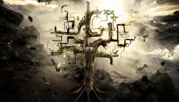 Картинка фэнтези фотоарт другие миры абстракция дерево