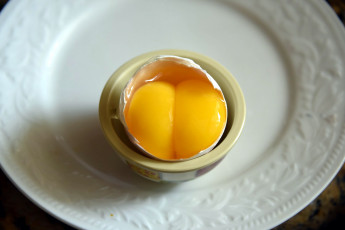 обоя еда, Яйца, желток, двойной