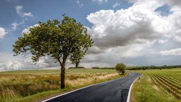 Картинка природа дороги деревья облака поля дорога
