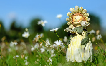 Картинка разное игрушки цветы ромашки кукла фигурка поле лето трава