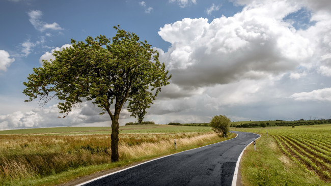 Обои картинки фото природа, дороги, деревья, облака, поля, дорога