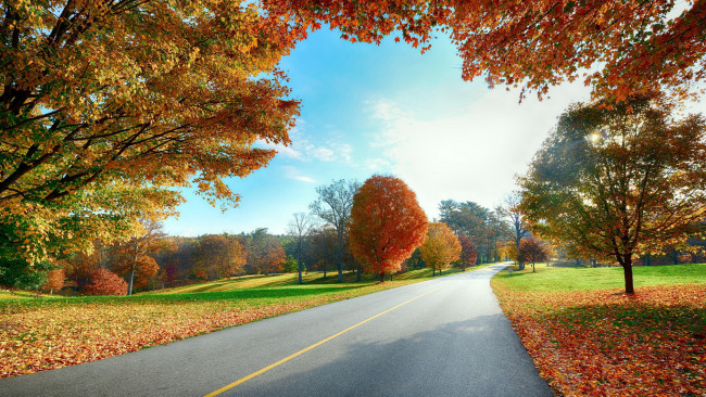 Обои картинки фото природа, дороги, листопад, деревья, осень, шоссе