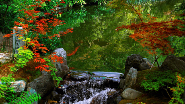 Обои картинки фото природа, парк, осень, кусты, водопад, водоем