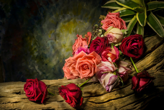 Обои картинки фото цветы, розы, коряга, листья, дерево, натюрморт