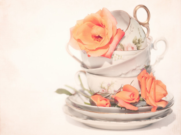 Обои картинки фото цветы, розы, бутоны, блюдца, чашки