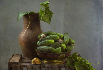 Картинка еда огурцы текстура ракушки кувшин натюрморт овощ