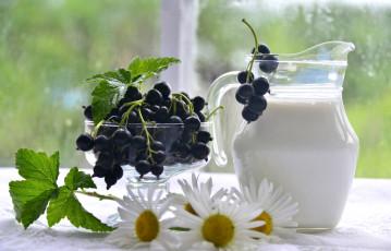 Картинка еда масло +молочные+продукты ромашка кувшин смородина лето молоко