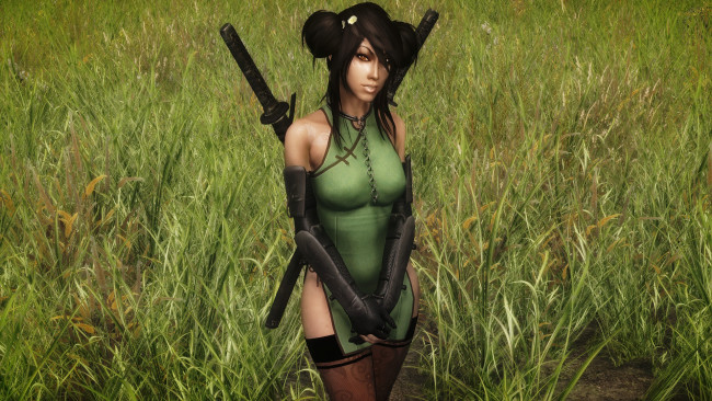 Обои картинки фото видео игры, the elder scrolls v,  skyrim, оружие, фон, взгляд, девушка