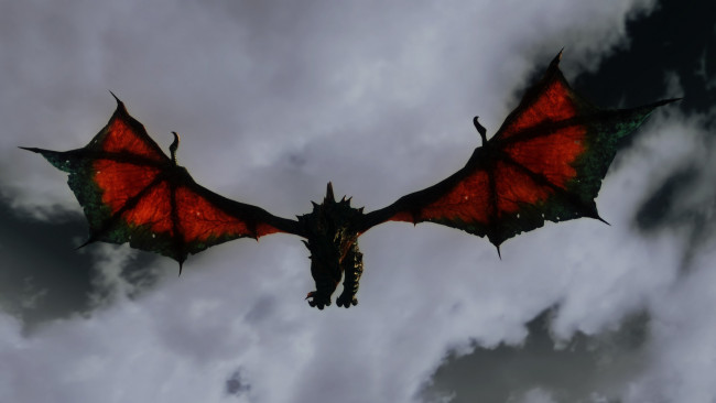 Обои картинки фото видео игры, the elder scrolls v,  skyrim, поолет, фон, дракон