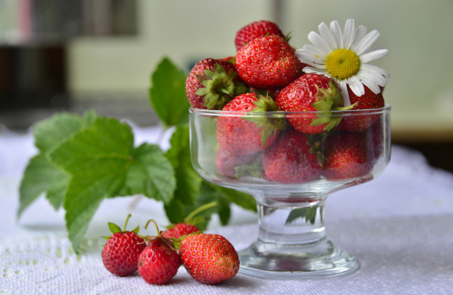 Обои картинки фото еда, клубника,  земляника, вазочка, ромашка, красный, ягоды