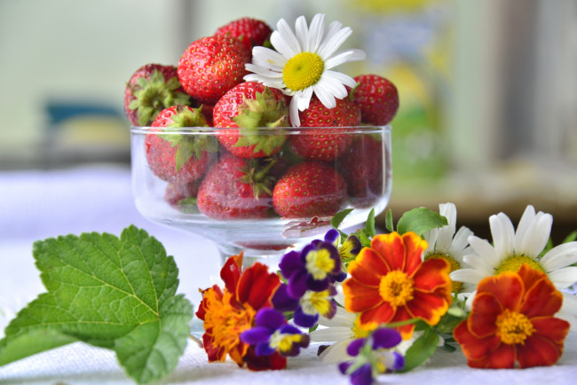 Обои картинки фото еда, клубника,  земляника, лето, бархатцы, виола, ромашка, ягоды, цветы